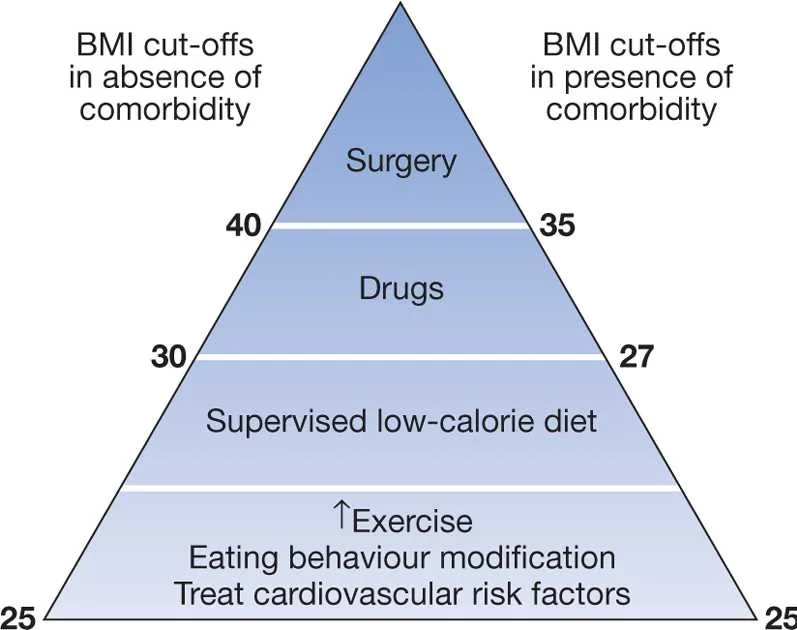 Νέα έρευνα: Το να χάσουμε κιλά δεν θα μας κάνει πιο υγιείς